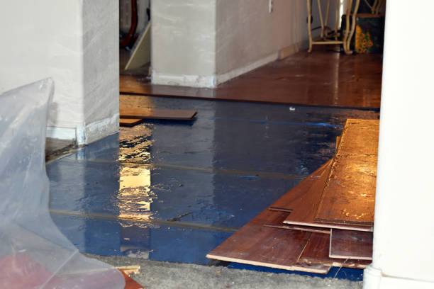 Professional Burst Pipe Cleanup technician working in Longbranch, WA
