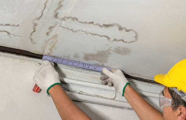 Reliable Burst Pipe Cleanup contractor in Longbranch, WA by Water Damage Irwin